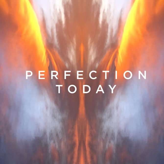 Protective Fences - Perfection Today PF Perfection Today 02