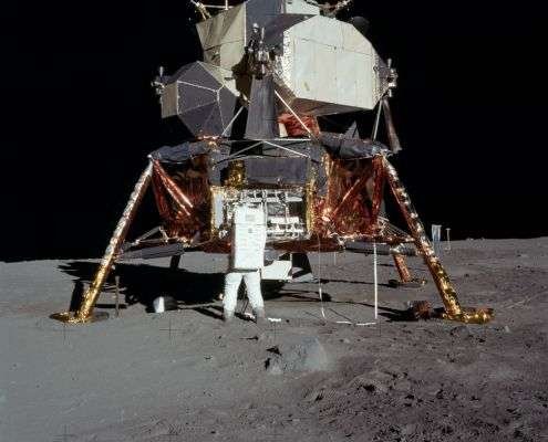 Wagging the Moondoggie - Dave McGowan