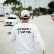 First genetically modified mosquitoes released in the United States 34298 d41586 021 01186 6 19123986