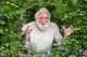 Climate Change Is Absolute Nonsense | David Bellamy 13 david bellamy