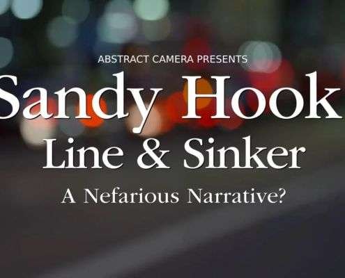 Sandy Hooke Line Sinker