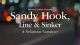 Sandy Hooke Line Sinker