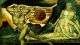image 28 e1651739917330