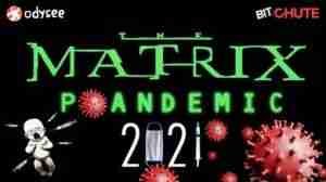Exit The Matrix | John Thor 2 53290 aHR0cHM6Ly9zcGVlLmNoLzUvOTllMjUyMmFmMjI0MGZmYi5wbmc