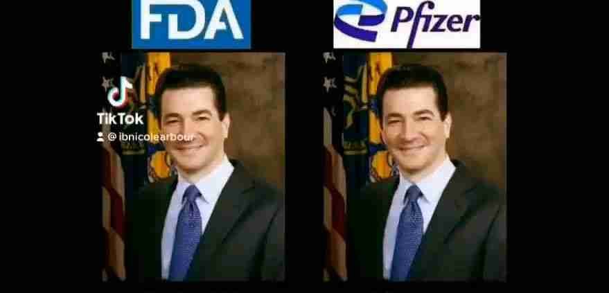 civilslave pfizer collusion thumb