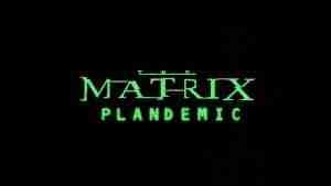 The Matrix Plandemic - Part 2 | The Bantics Show 1 image 11