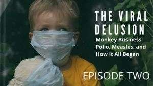 The Viral Delusion: Part 5 - The Tragic Pseudoscience of SARS-CoV-2 and the Madness of Modern Virology 4 image 4