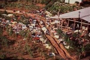 Evidence of Revision - Part 5 - MK Ultra & Jonestown Massacre 7 nydn the jonestown massacre 20191114