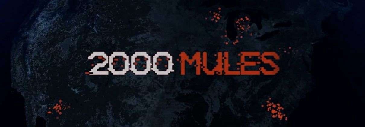 2000 Mules | Dinesh D’Souza 1 image 2