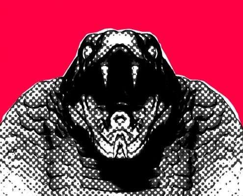 Windows on the World The Head of the Snake