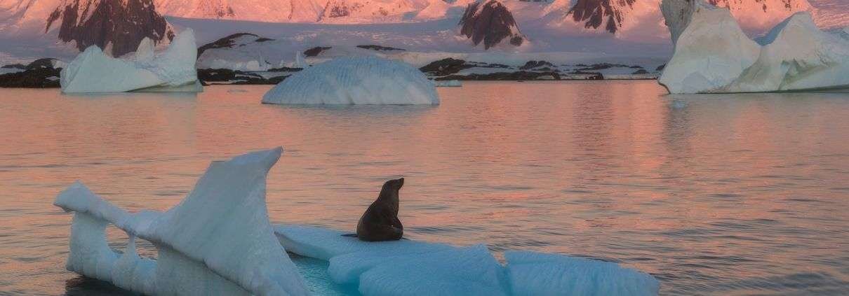 antarctica photography expedition 2021 2022 with daniel kordan 28