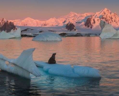 antarctica photography expedition 2021 2022 with daniel kordan 28