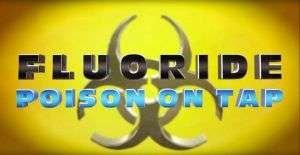 The Fluoride Deception - An Interview with Christopher Bryson 6 image 15