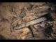 The Ancient Granite Quarry at Aswan in Egypt | Brien Foerster 7 86810 hqdefault