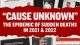 Cause Unknown Ed Dowd USA Watchdog