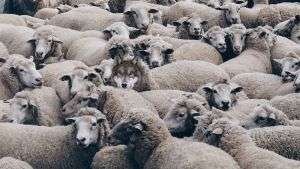 The Gulag Archipelago - Jordan Peterson And Ignat Solzhenitsyn 6 image 6