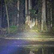 bohemian grove infiltration – YouTube 98964 maxresdefault