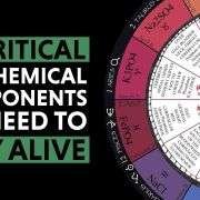 Tissue Salts, Histology & Demystifying Alchemy – YouTube 105045 maxresdefault