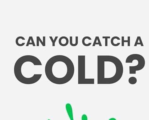 Can You Catch a Cold Daniel Roytas 2