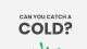 Can You Catch a Cold Daniel Roytas 2