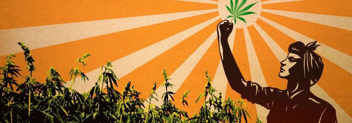 The Hemp Revolution | Anthony Clarke 1 image