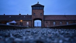 E. Michael Jones: The Holocaust Narrative | Jerm Warfare 5 image 9