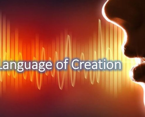 The Language of Creation Dave Murphy