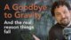 A Goodbye to Gravity Steven A. Young